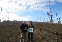 Orchard delighted to win award